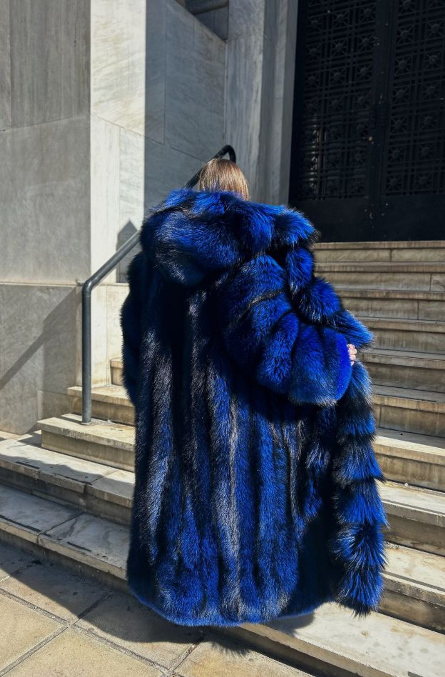 Sapphire blue fox