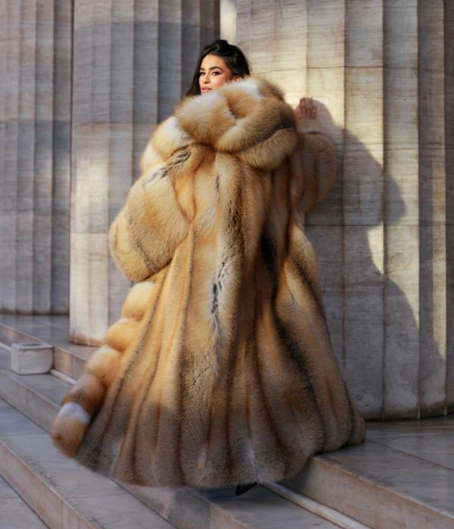 Golden fox