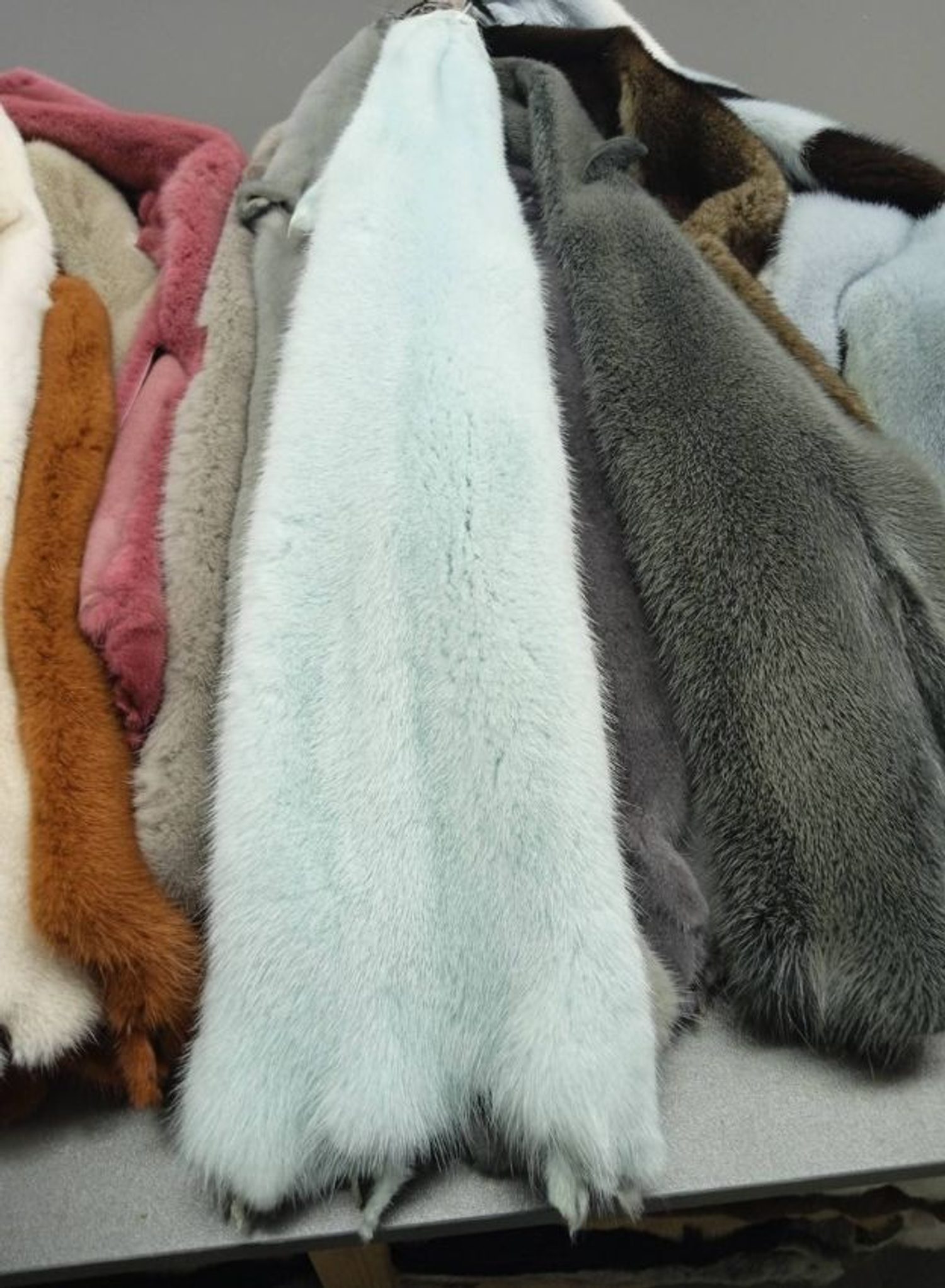 Men's Fox, Statement Coat